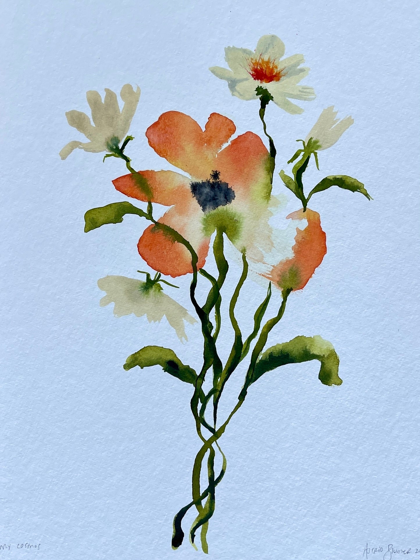 My Cosmos