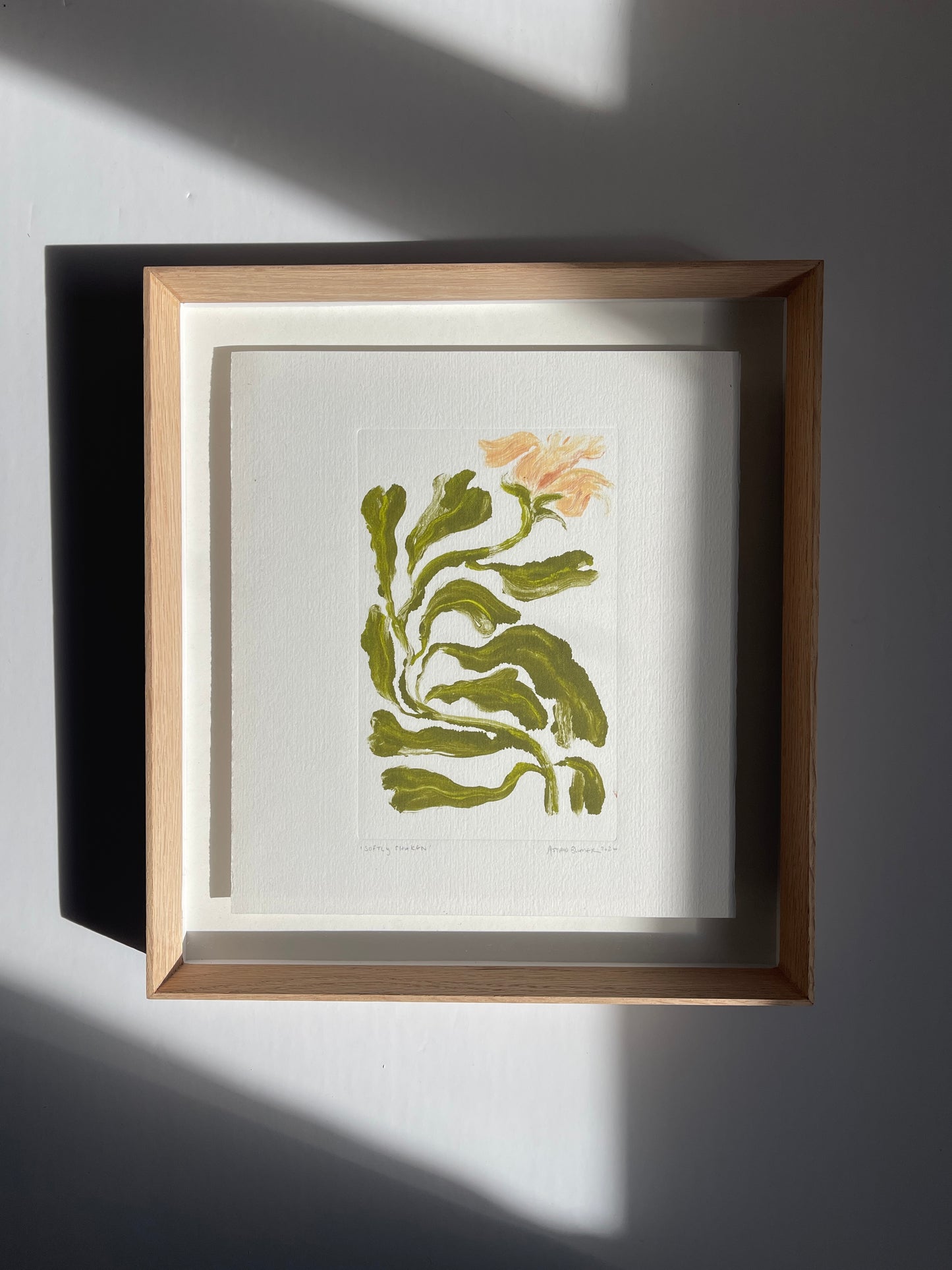 Softly Shaken (Framed)