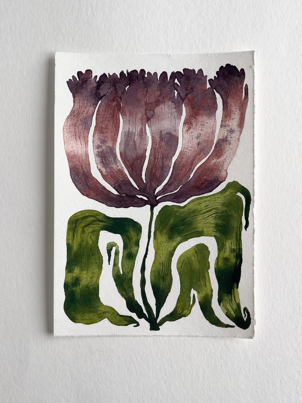 Tulip