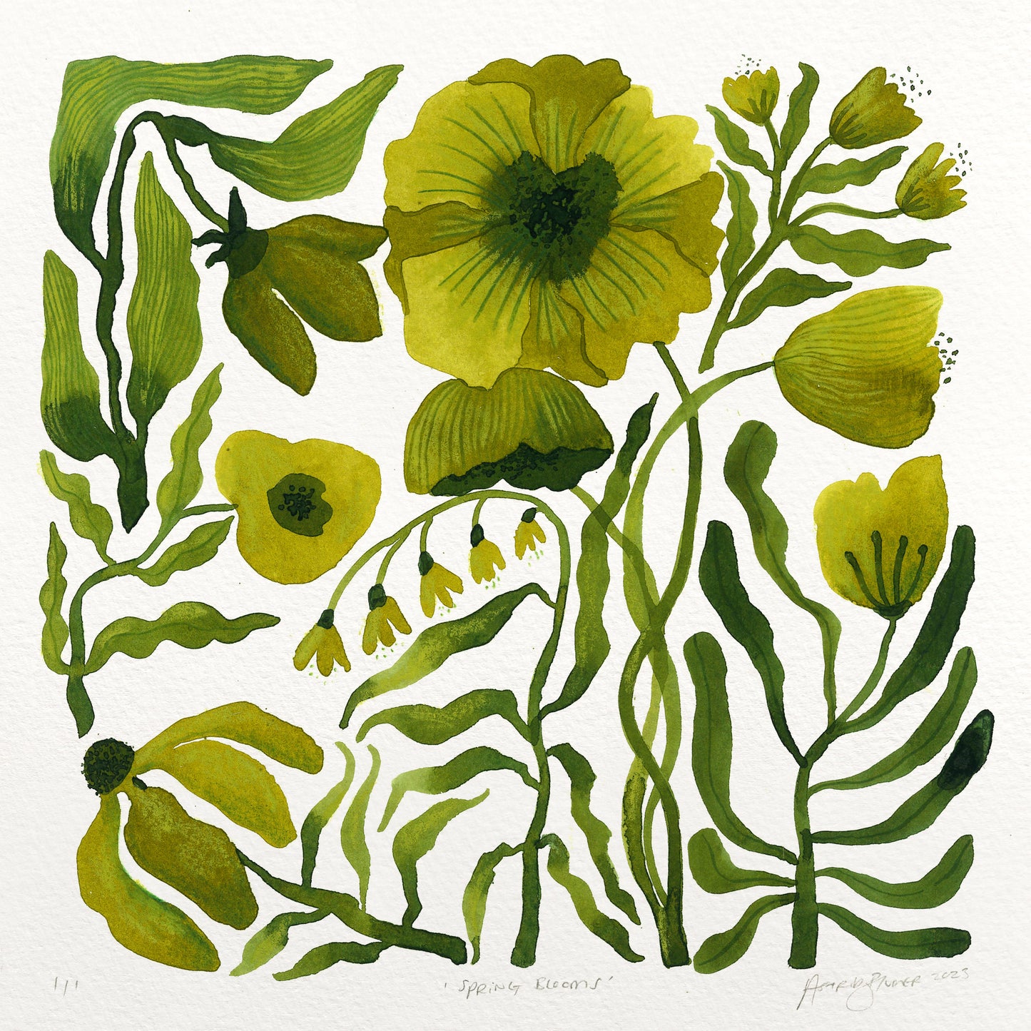 Spring Blooms