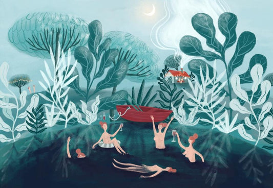 Midnight Swimmers