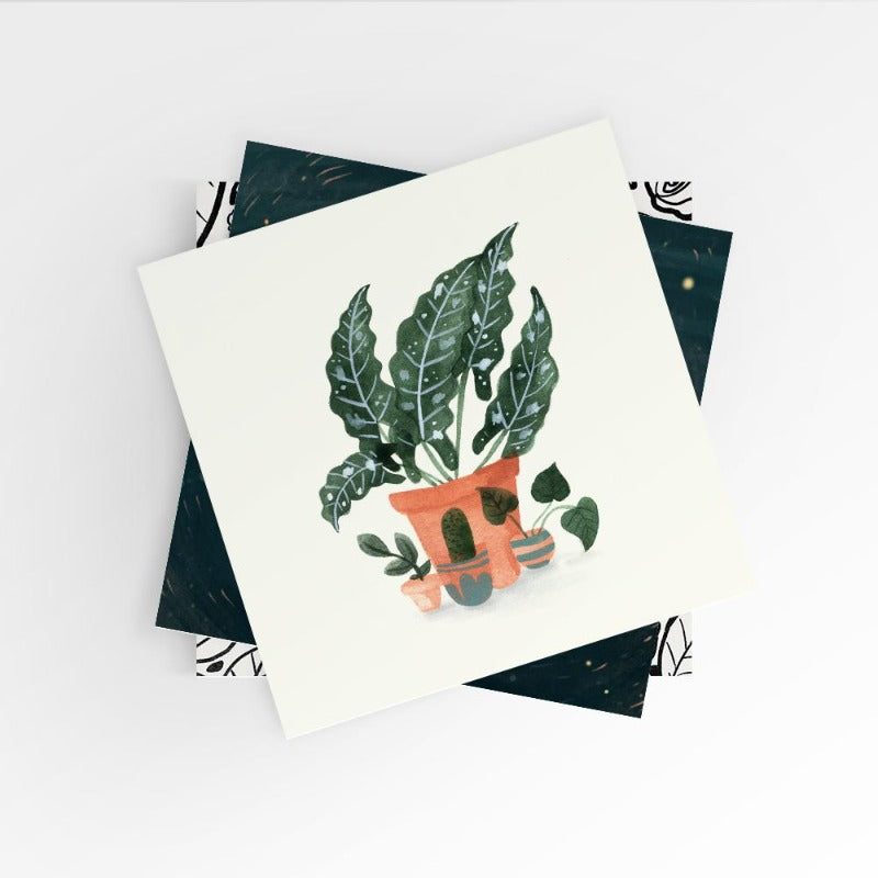 All the Plantses