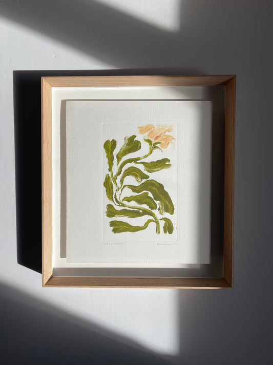 Softly Shaken (Framed)