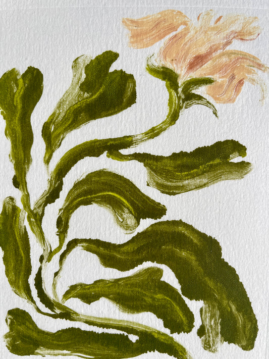 Softly Shaken (Framed)