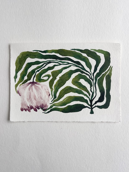 Enveloped in Stillness #1