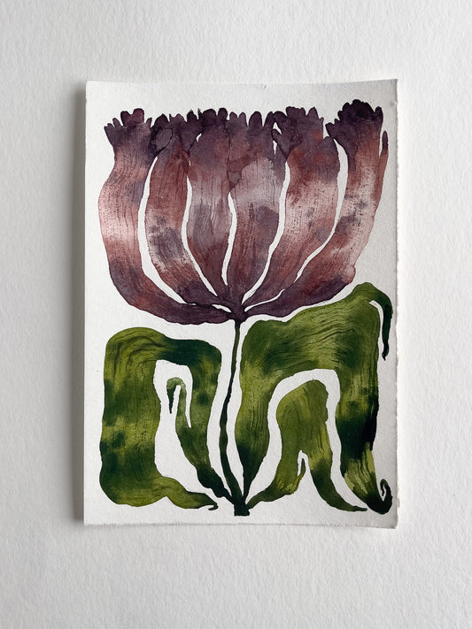 Tulip