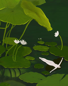 Lady of the Lake