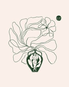 New Moon, New Beginnings