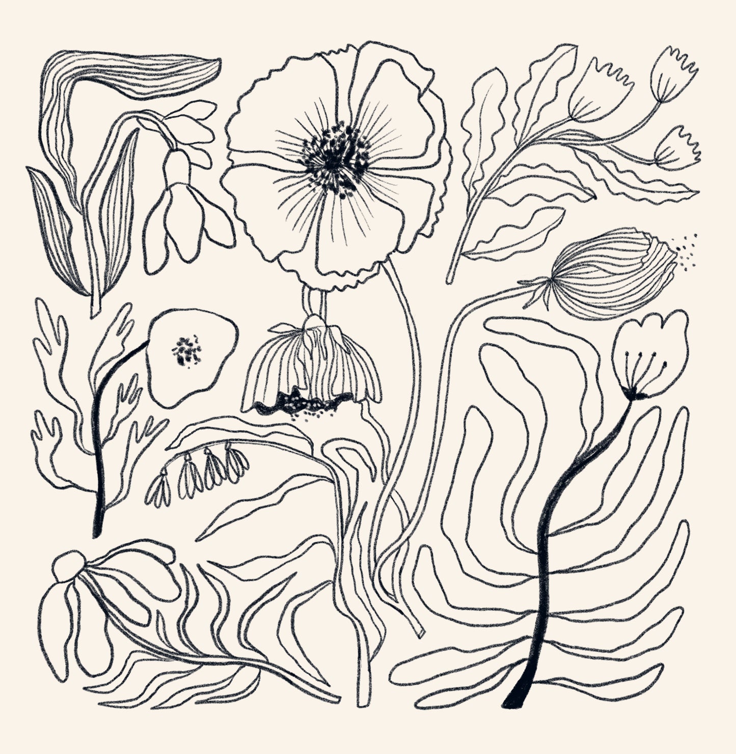 Spring Blooms