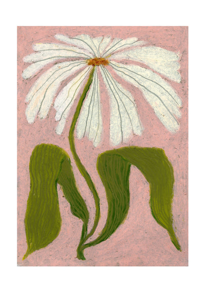 Cosmos 2
