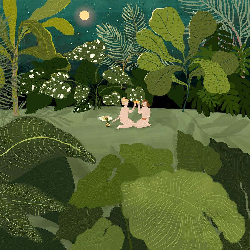 Finding Paradise