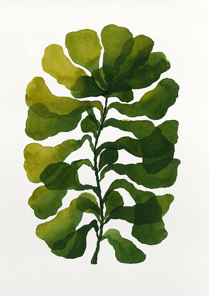 La Fleur Verte # 2