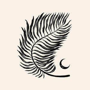 Moon Palm