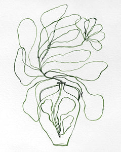 Vase Study #1